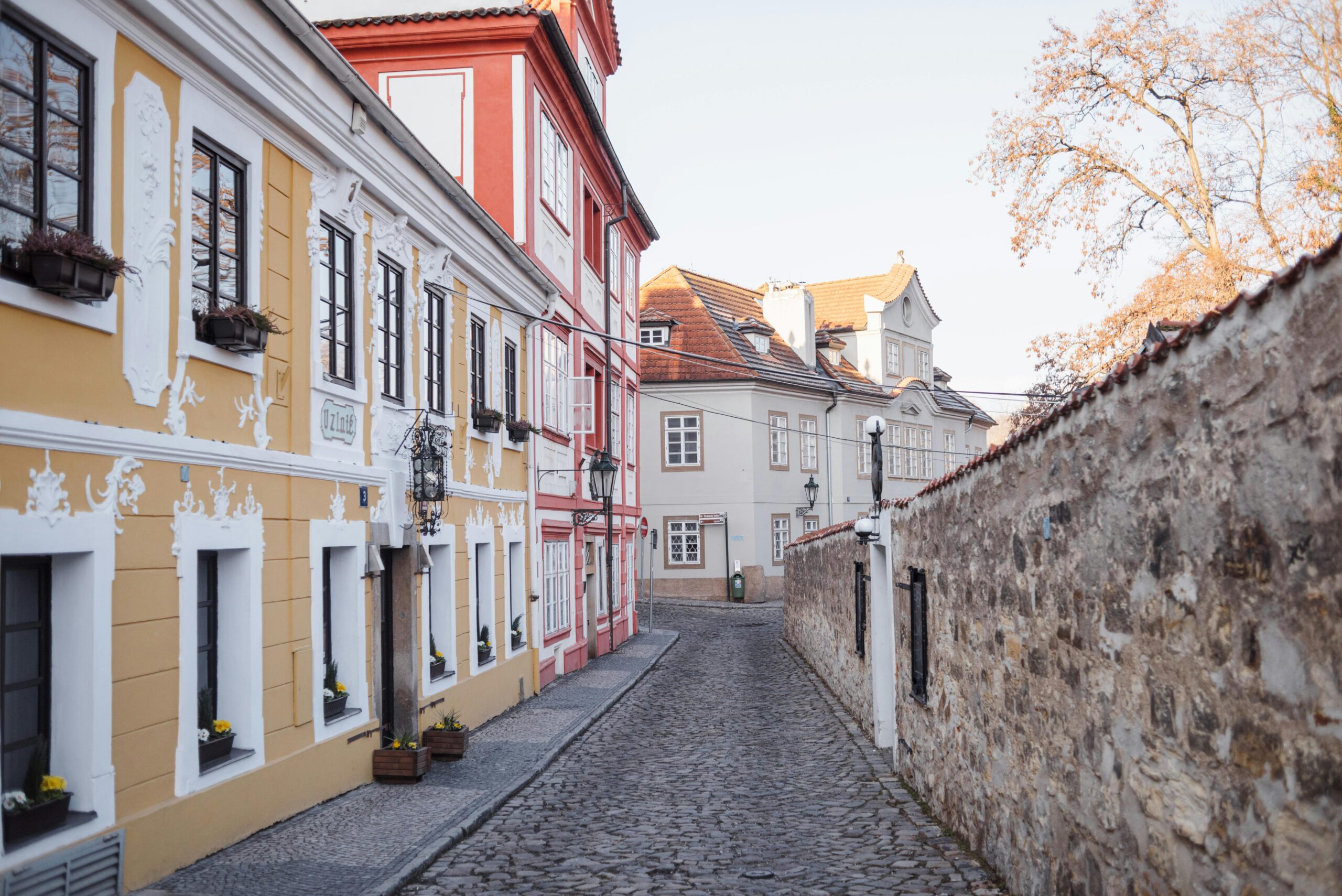 pexels-olgalioncat-7245234
